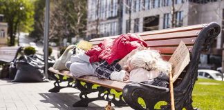 Person sleeping on park bench