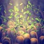 Green bacteria among intestine lining cells