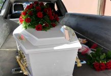 White coffin with red roses inside a hearse.