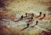 Toy soldiers on a world map background