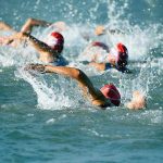 Group of swimmers racing in open water